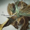 Nuada «Tools Of Perception» Cover Thumbnail