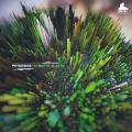 Psydewise «Synaptic Elastic» EP Cover Thumbnail