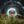 Frog Prog «Sacred Journey» EP thumbnail