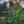 Psydewise «Synaptic Elastic» EP thumbnail