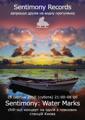 Sentimony: Water Marks Flyer Thumbnail