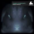 VA «Tempo Syndicate» Cover Thumbnail