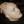 Eguana thumbnail