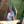 Erot thumbnail