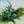 Alien Immigrant «Plant Medicine» EP thumbnail