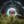 Frog Prog «Sacred Journey» EP thumbnail