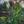 Psydewise «Synaptic Elastic» EP thumbnail