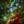 VA «Gatekey, Vol. 1» thumbnail