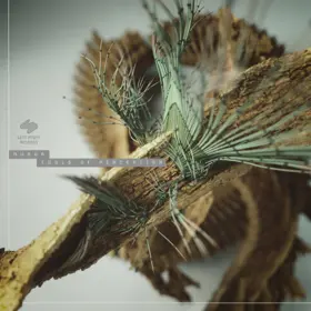 Nuada «Tools Of Perception» Cover Thumbnail