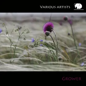 VA «Grower» Cover Thumbnail