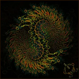 VA «The Ten» Cover Thumbnail