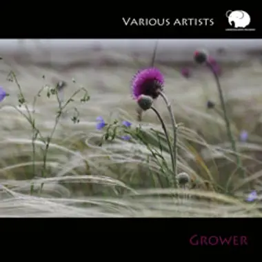 VA «Grower» cover