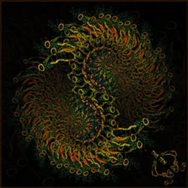 VA «The Ten» cover